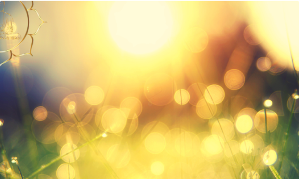 Rayon de soleil dans l'herbe
