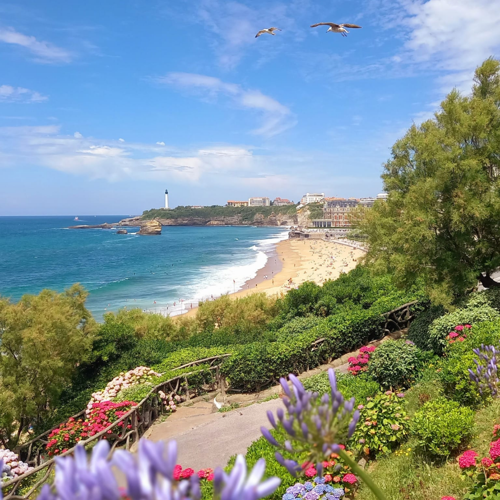 Oiseaux à Biarritz