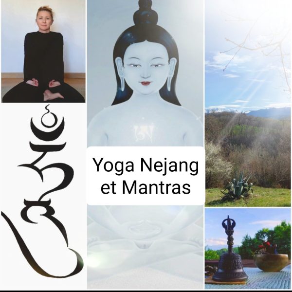 yoga tibétain nejang biarritz centre sowa rigpa